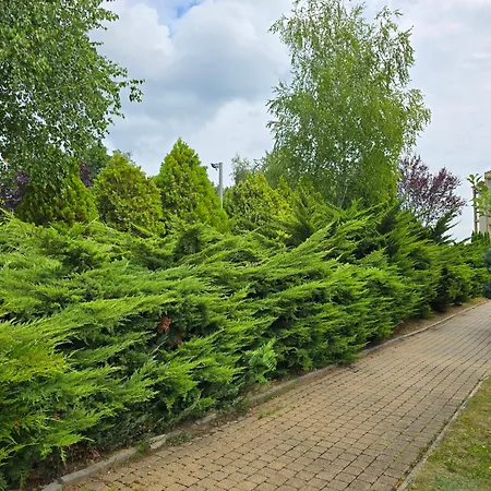 Wellness Relax W Spa, Pool & Ac Apartman Zalakaros