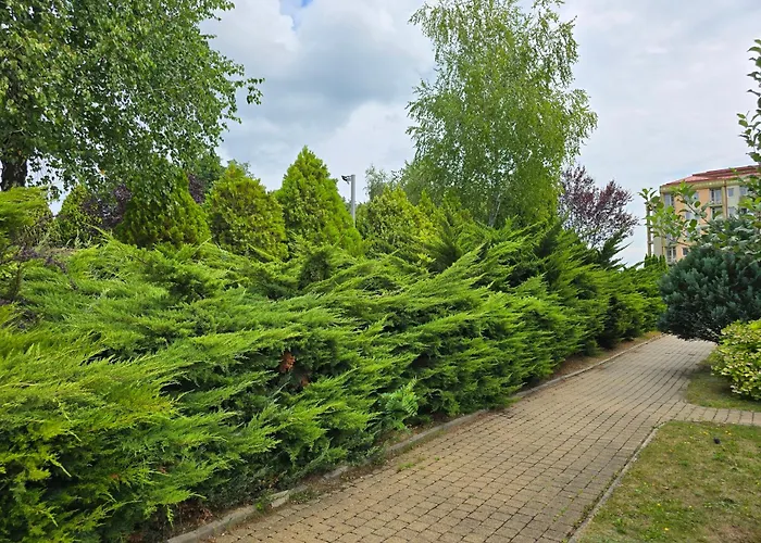 Wellness Relax W Spa, Pool & Ac Lägenhet Zalakaros